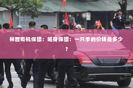 林西司机保镖：贴身保镖：一只手的价钱是多少？